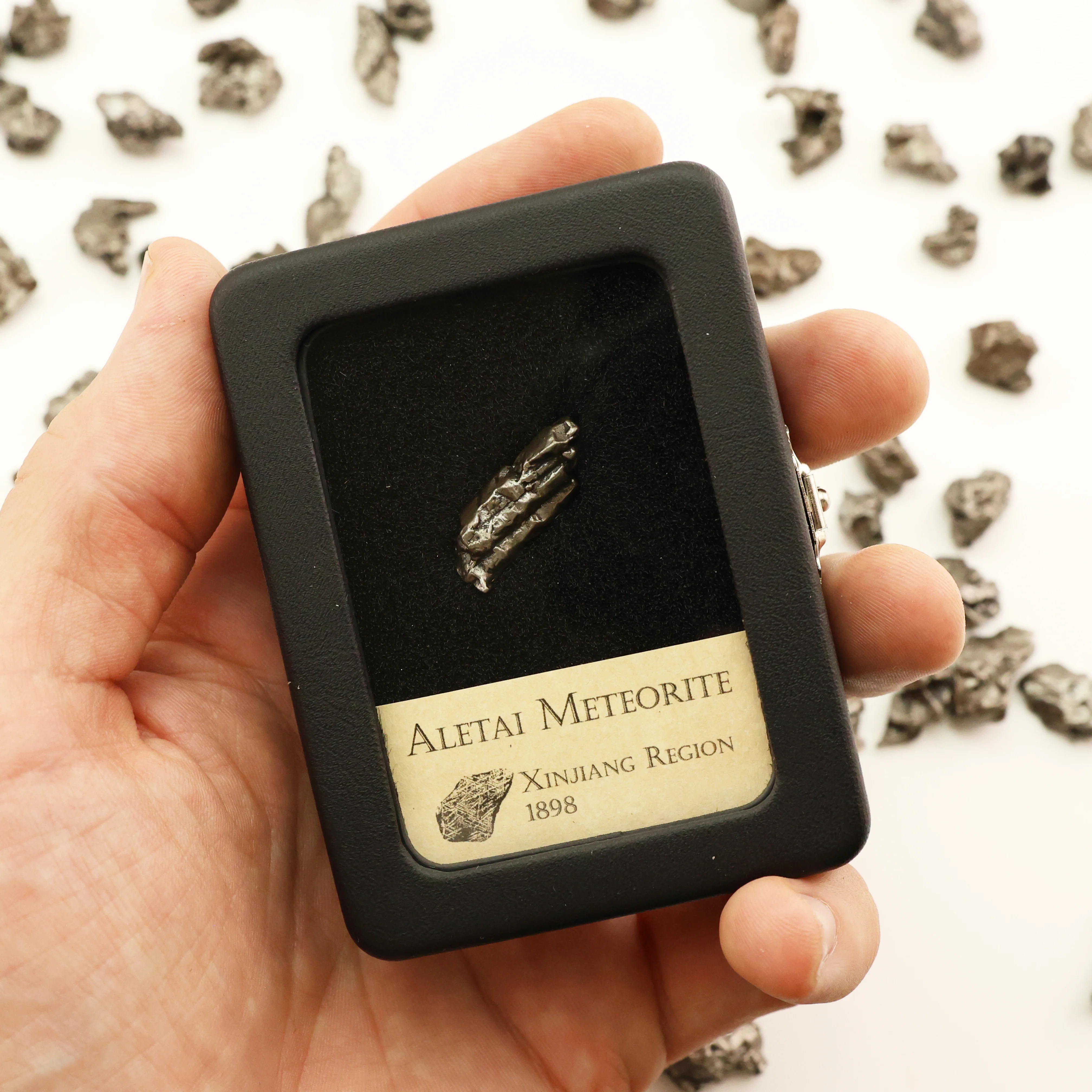 Meteor Fragment | Aletai Meteorite - Image 4