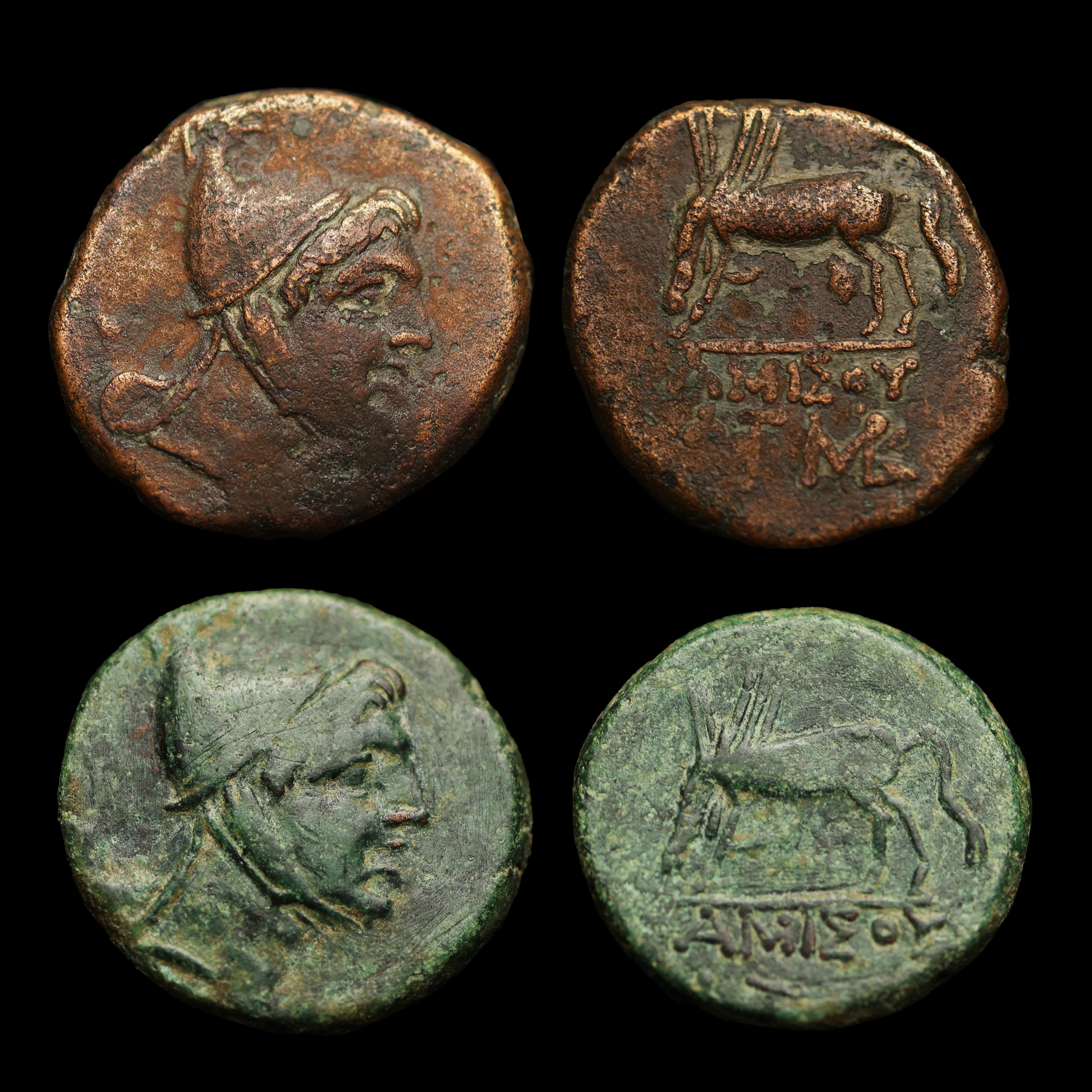 Greek Coin | Perseus Design - Image 3