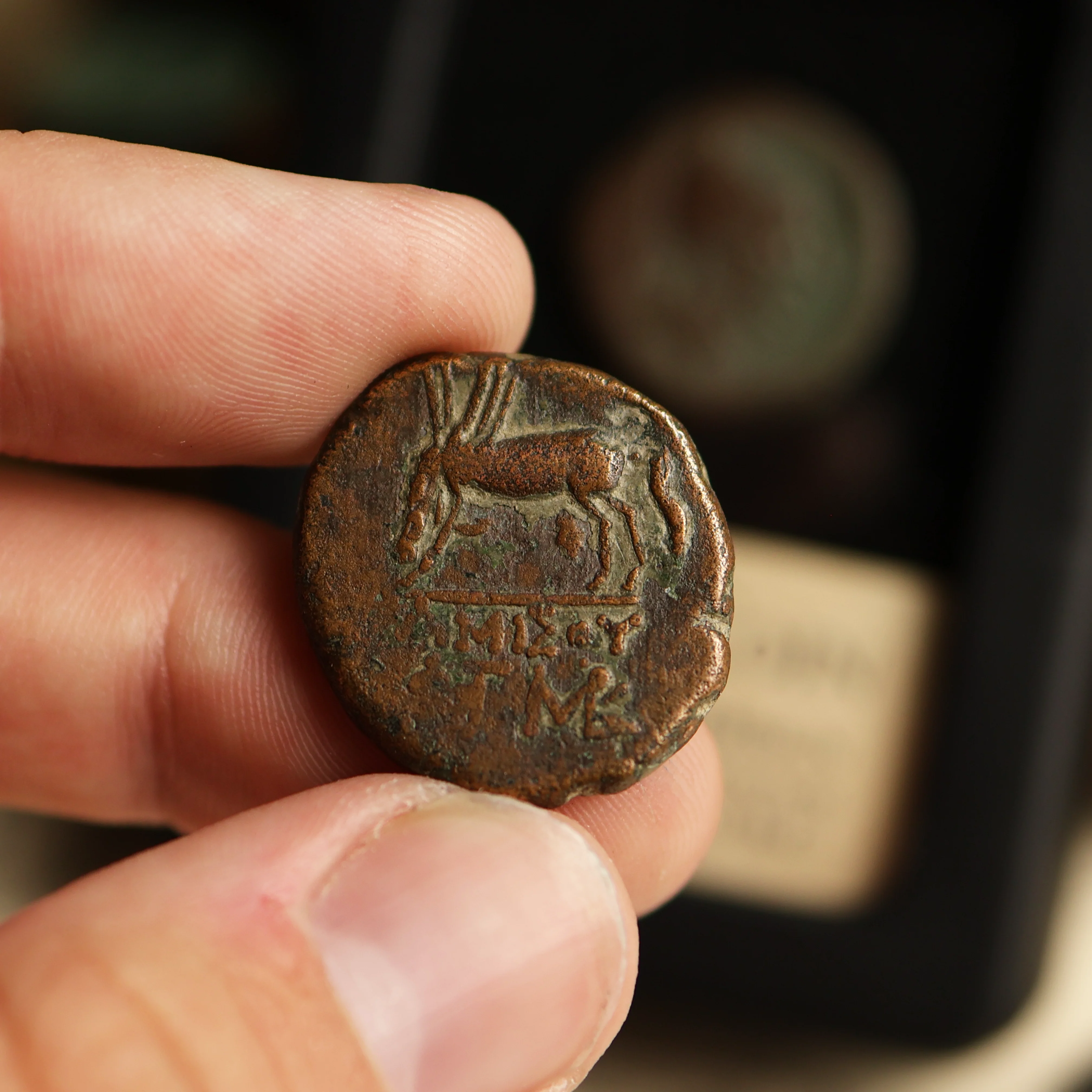 Greek Coin | Perseus Design - Image 5