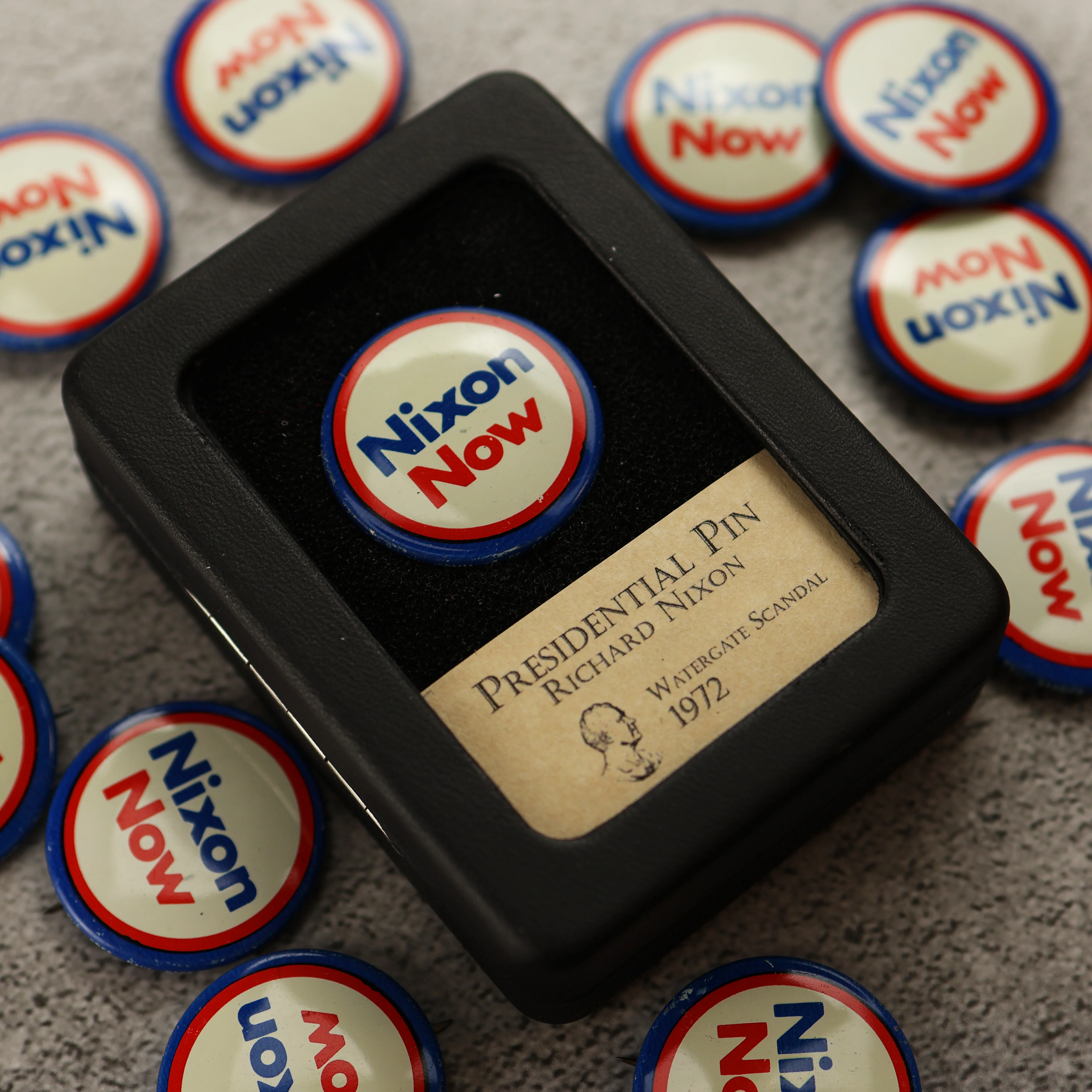 Richard Nixon Presidential Campaign Pin - Image 3