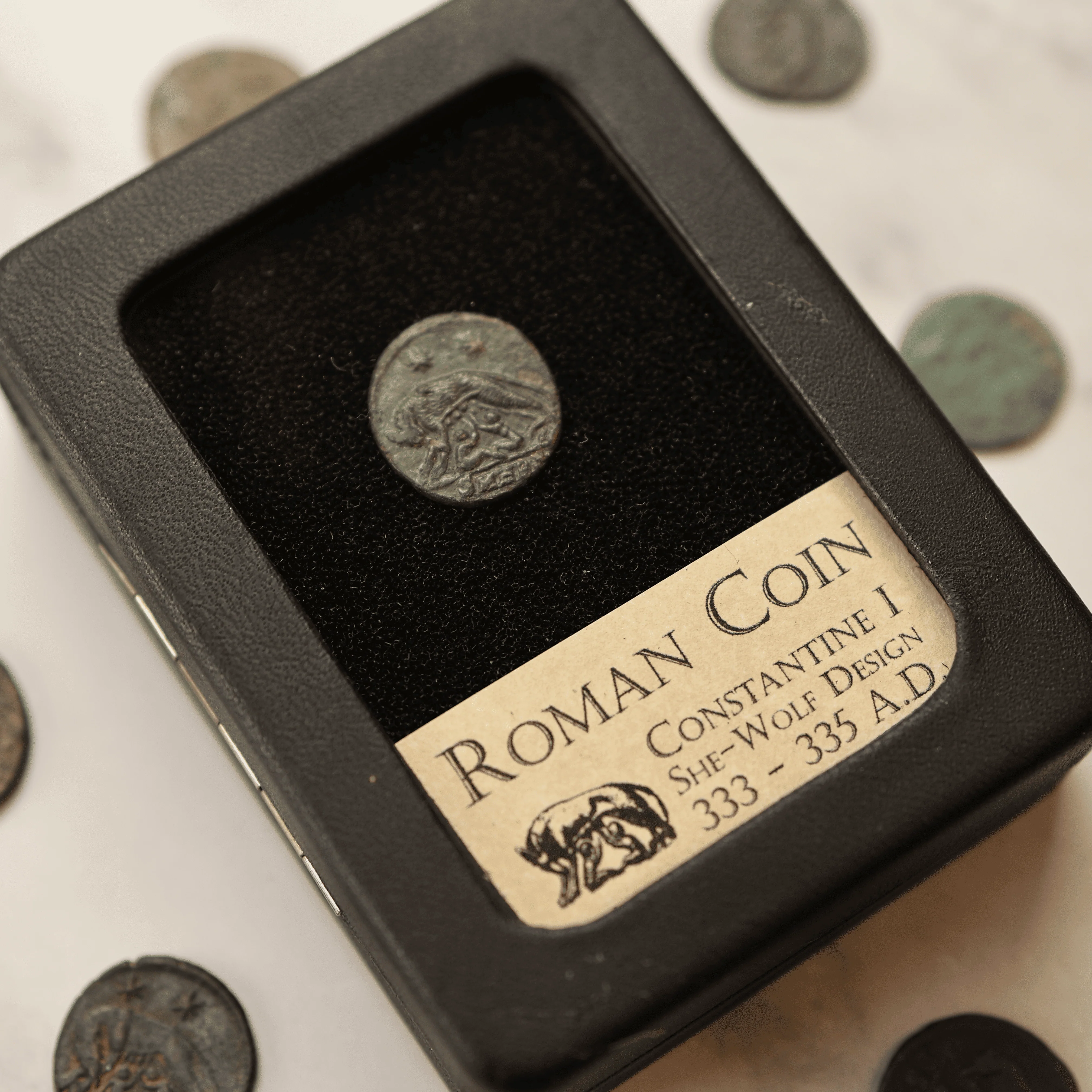 Roman Coin | She-wolf Design - Image 3