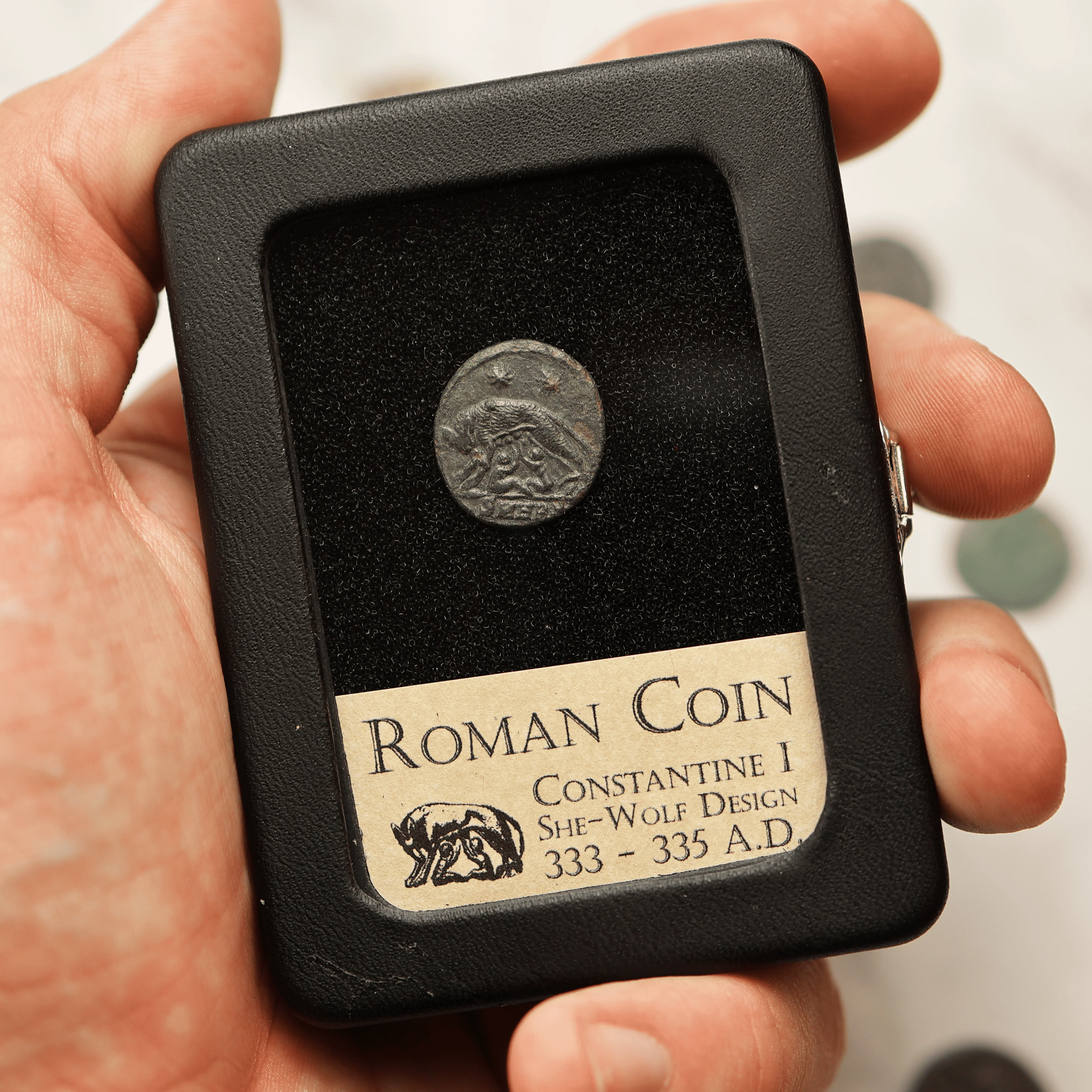 Roman Coin | She-wolf Design - Image 5