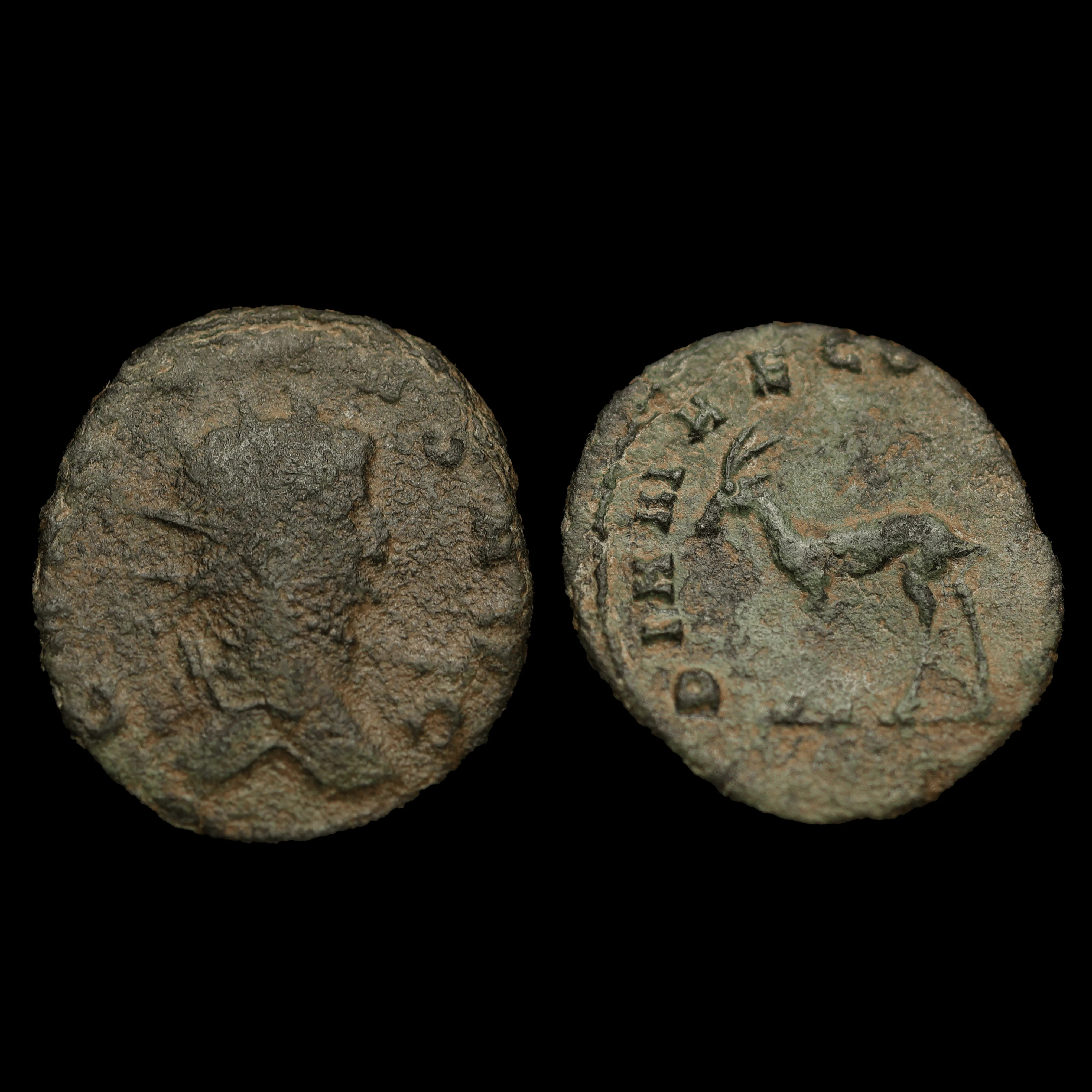 Roman Coin | "Zoo Series" Gallienus Antoninianus - Image 4