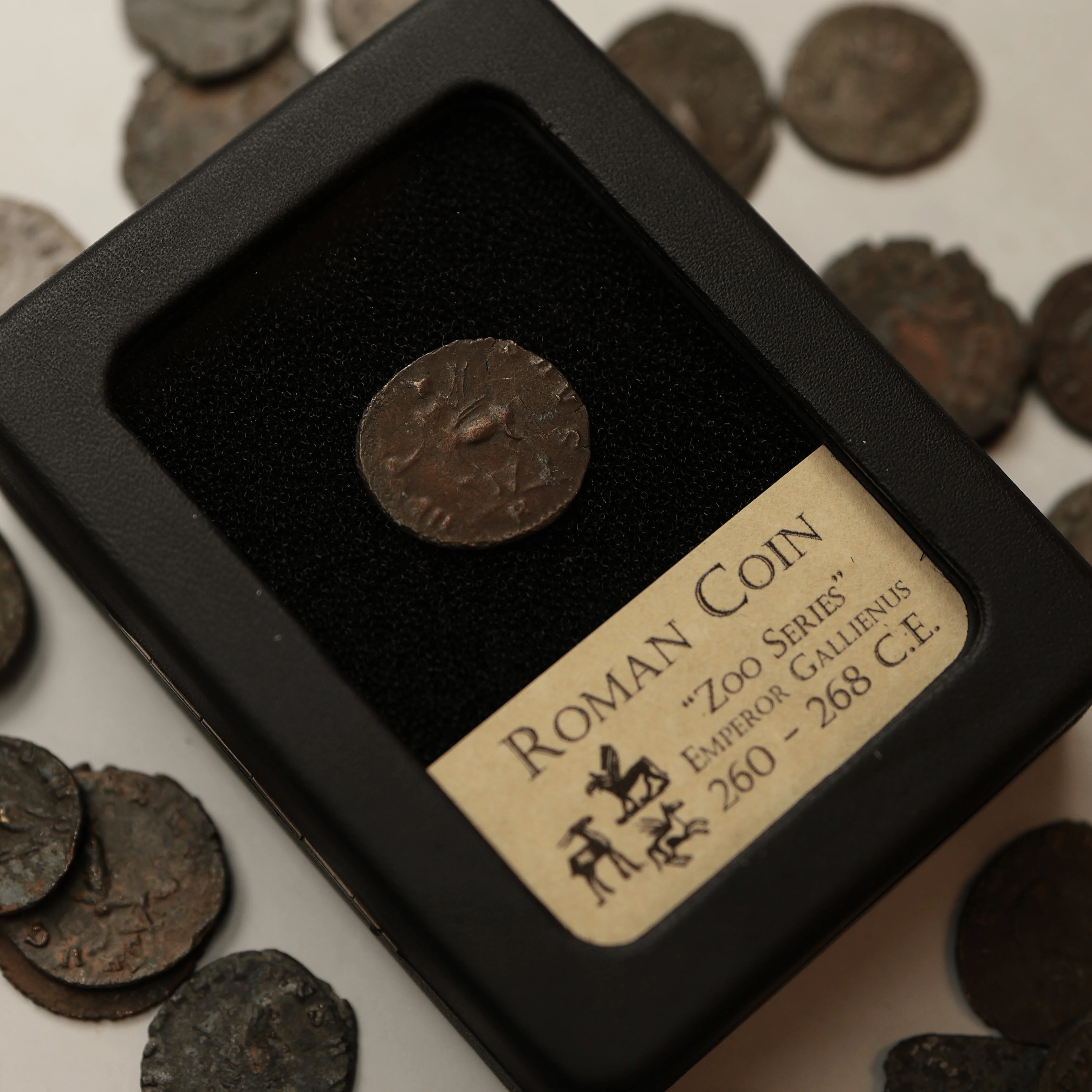 Roman Coin | "Zoo Series" Gallienus Antoninianus - Image 5