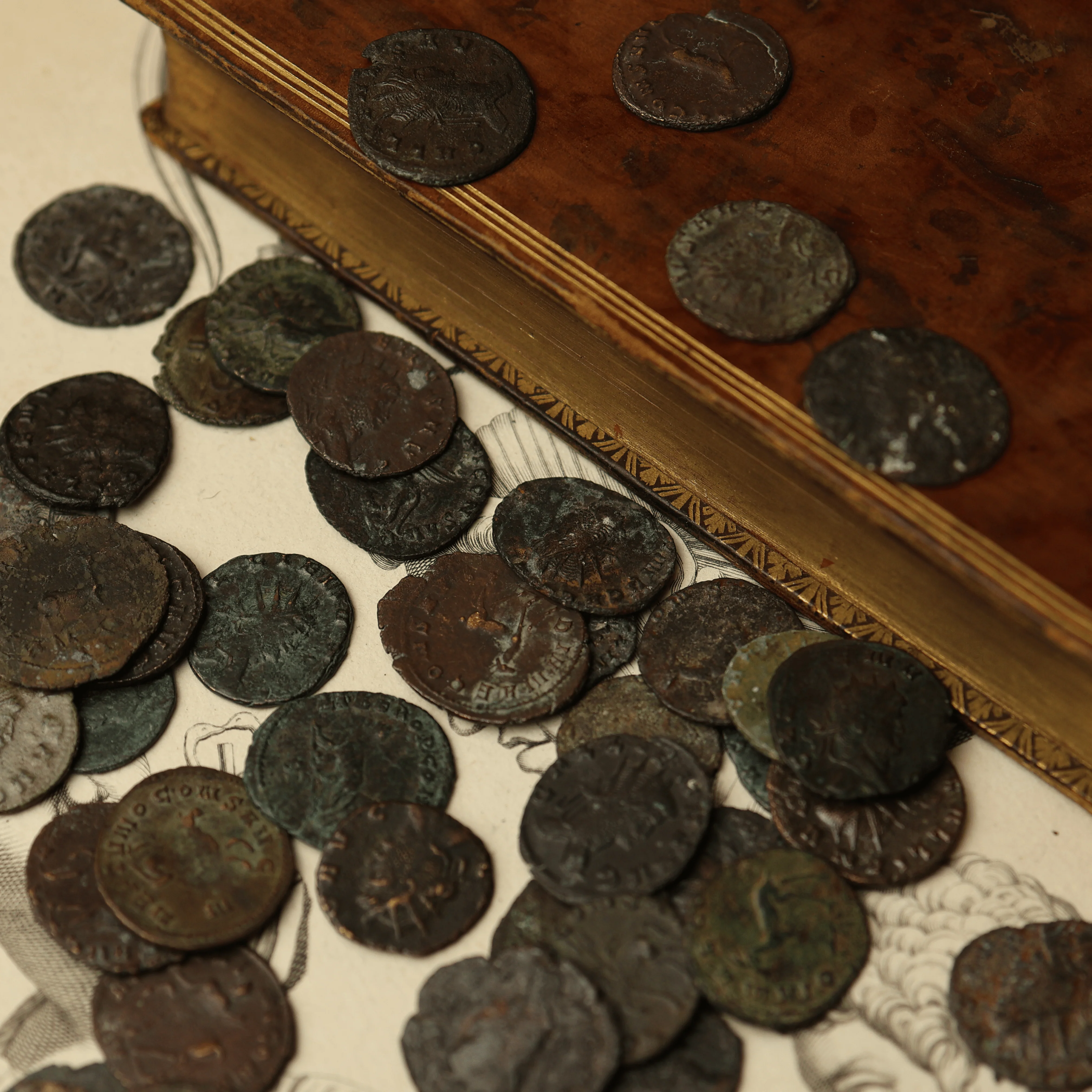 Roman Coin | "Zoo Series" Gallienus Antoninianus - Image 6