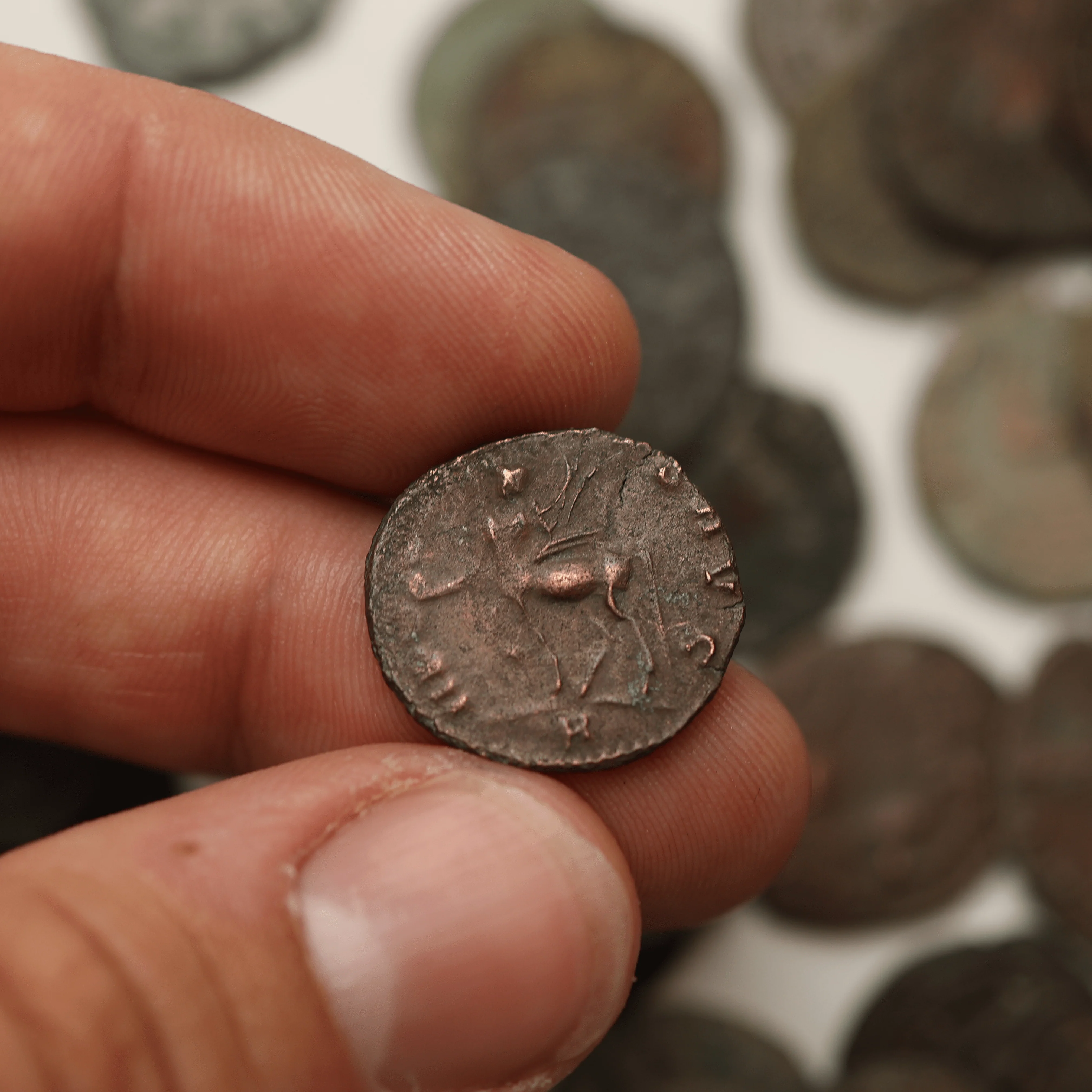 Roman Coin | "Zoo Series" Gallienus Antoninianus - Image 8